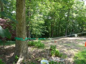 Rope puller set up with slings on a strong tree.