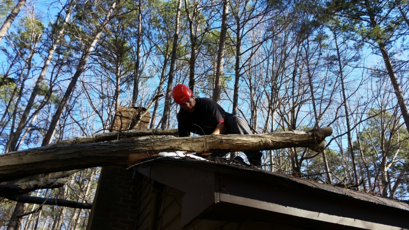 Maple On A Roof in Raleigh