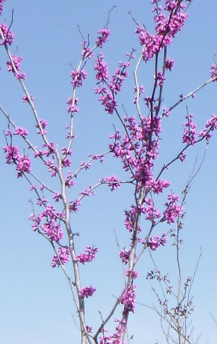 Merry Christmas 2025 and Happy New Year 2026